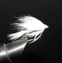 ���� ������ Wet fly 